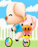 hinh anh